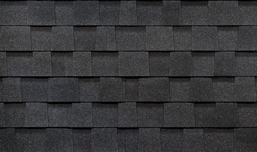 Ламинированная черепица Docke, DRAGON PREMIUM, Ежевика купить в Новороссийске