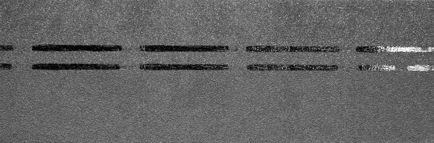 Коньково-карнизная черепица Docke, Premium, Черника купить в Новороссийске